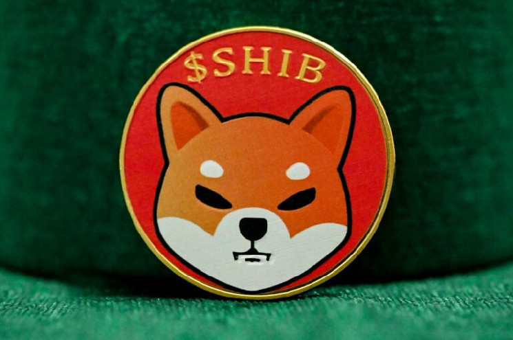 ارتفع معدل حرق شيبا إينو بنسبة 140,000% مع تدمير أكثر من 100 مليون رمز $SHIB في 24 ساعة