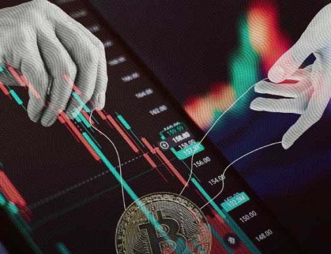يتوقع المحلل أن تصل عملة البيتكوين إلى 500000 دولار مع ارتفاع أسعار الحيتان