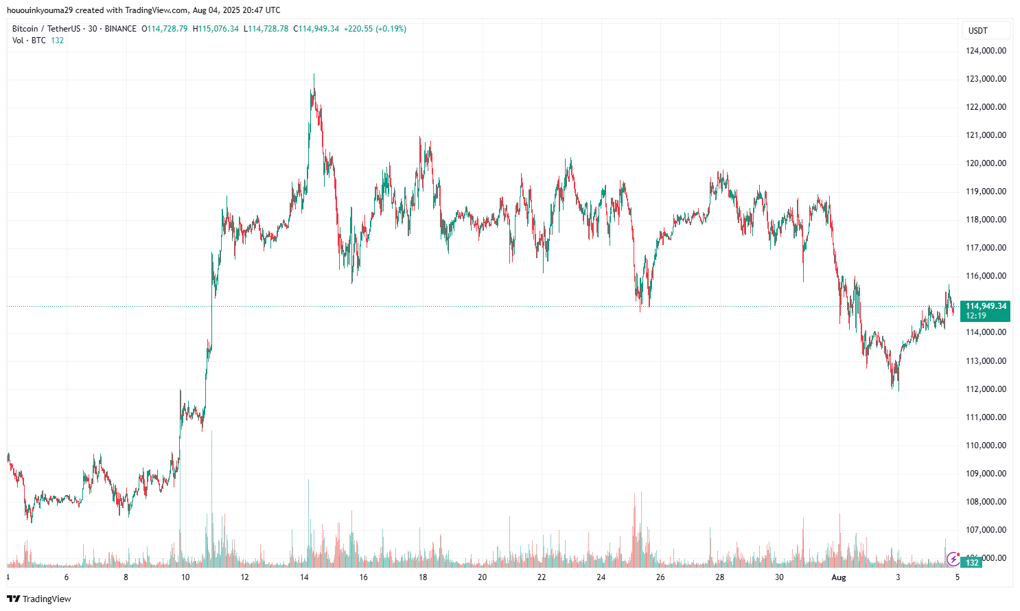 Binance: Btcusdt Chart Image by Hououninkyouma29