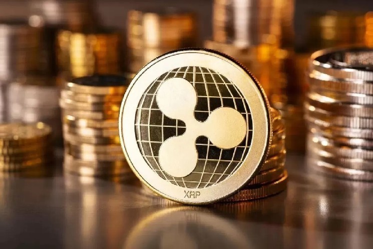 تم إصدار تقرير شامل عن الوضع الحالي لـ Ripple (XRP) – هل يبدو صحيًا؟ هنا هي التفاصيل