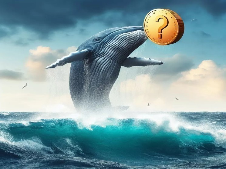 الحيتان العملاقة نشطة: لقد فتحت مراكز شراء طويلة في البيتكوين (BTC)، والإيثريوم (ETH)، وهذه العملات البديلة الثلاثة!