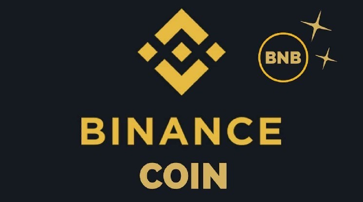 تعلن مؤسسة BNB عن الانتهاء من حرق BNB الثالث والثلاثين! إليك المبلغ النهائي لحرق BNB