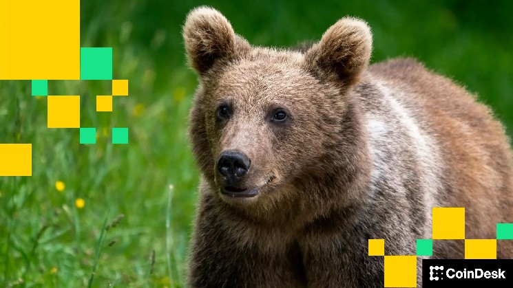 سوق BTC الآن “هبوطي للغاية”، كما يقول QCP: الإحاطة الصباحية الآسيوية