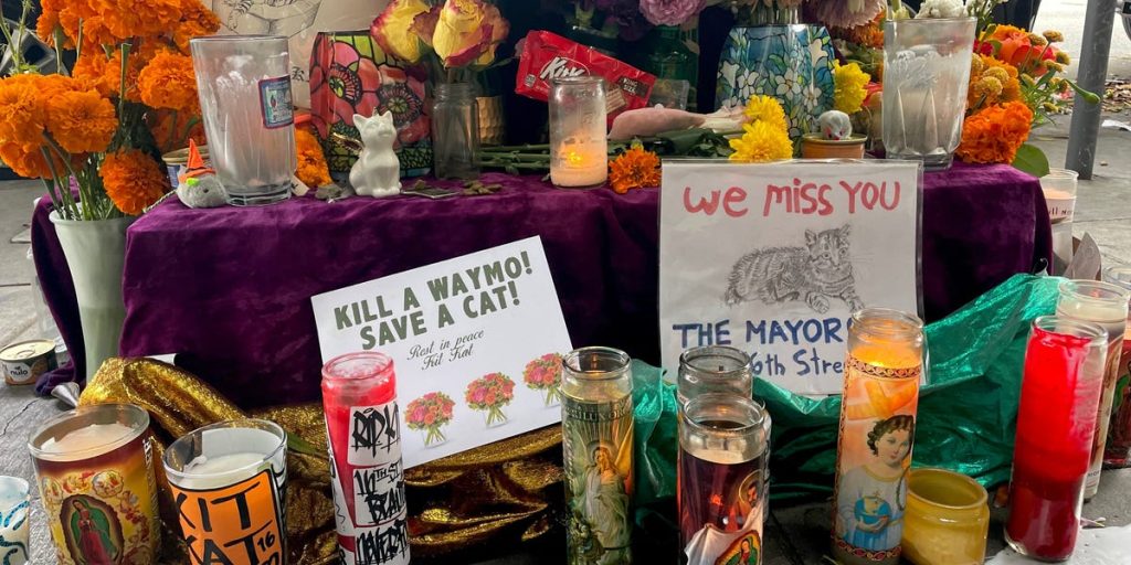 تنعي منطقة ميشن في سان فرانسيسكو قطة بوديجا الشهيرة بعد أن دهستها سيارة Waymo