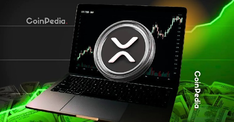 توقعات سعر عملة XRP ليوم 19 نوفمبر.