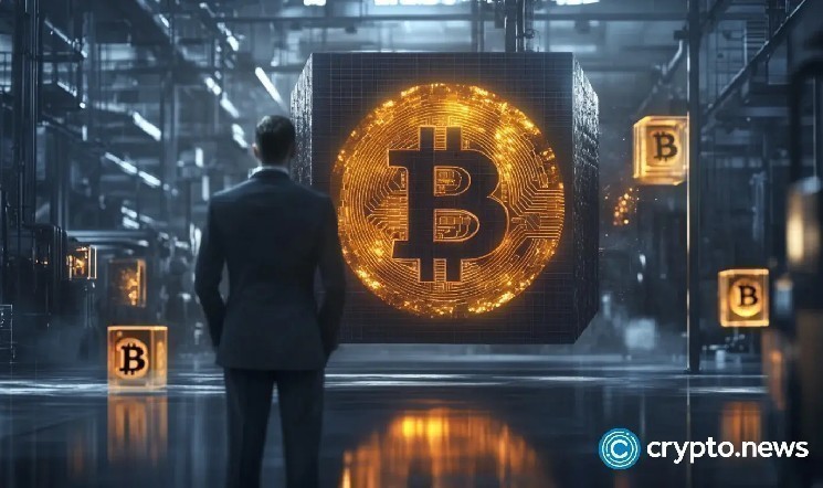 تشهد أسعار أسهم شركات الأصول الرقمية الأمريكية والكندية انخفاضًا وسطيًا بنسبة 43% في عام 2025.